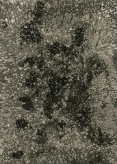 Chemigram 206