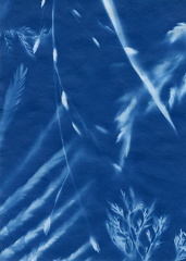 fivemile cyanotype 015