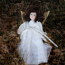 Discarded
